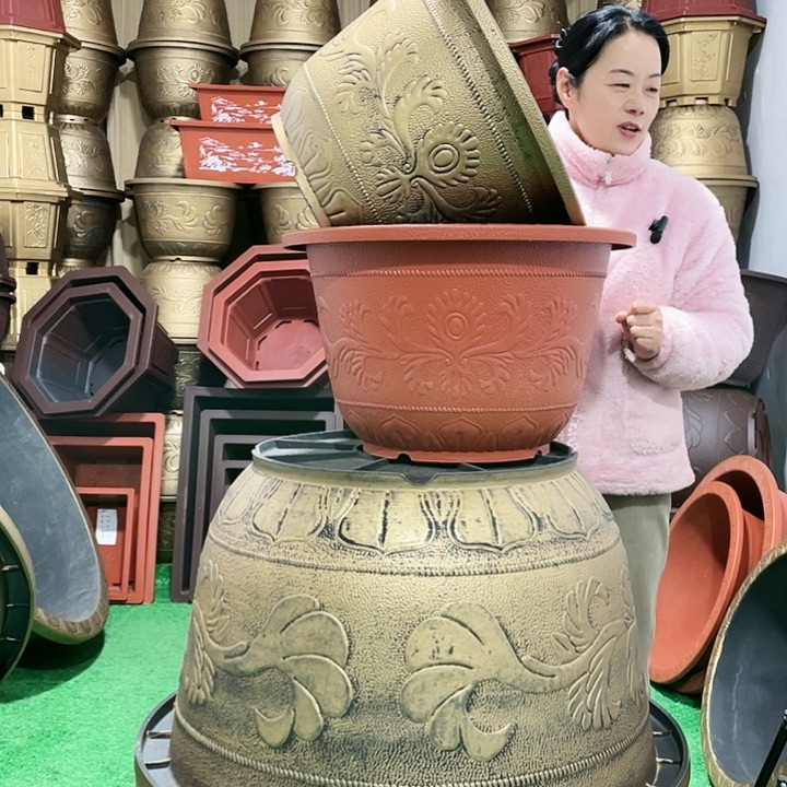 用***8圆盆紫砂五零十个