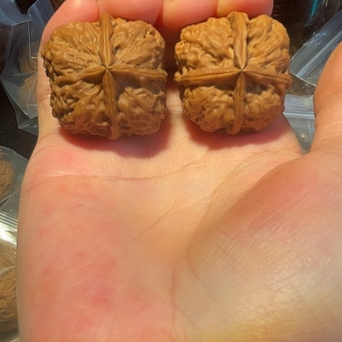 文玩核桃把件开山祖师带彩磕尖33