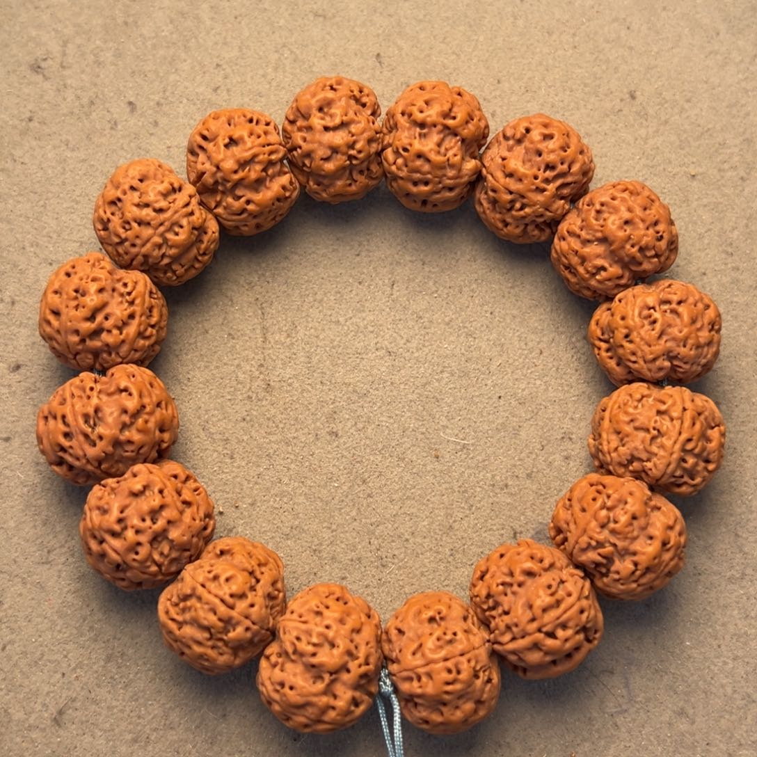 菩提6号金刚菩提满肉梅花20