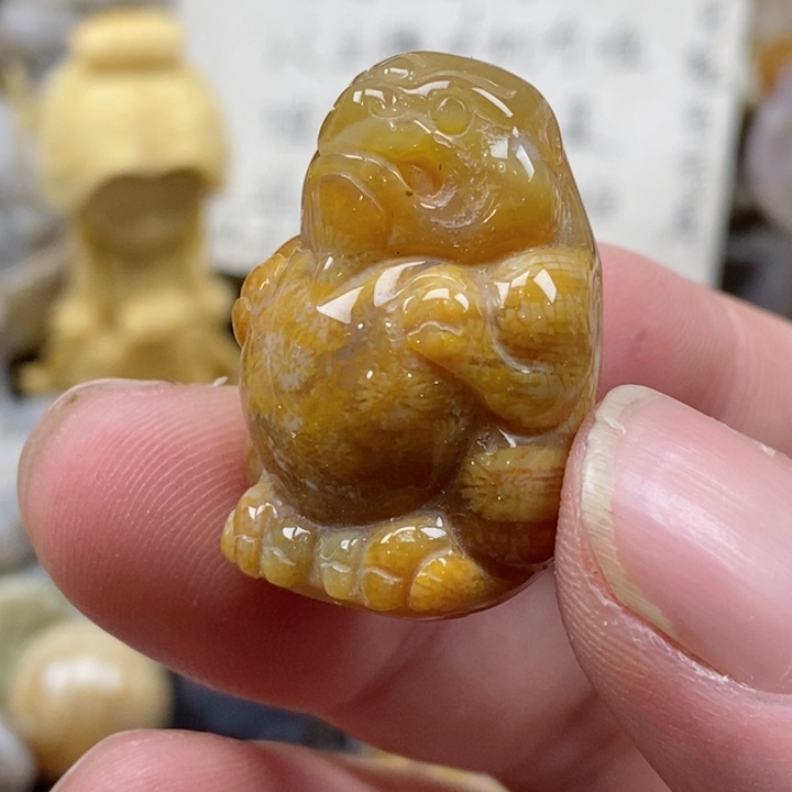 颈饰未镶嵌硅化珊瑚（珊瑚玉）小