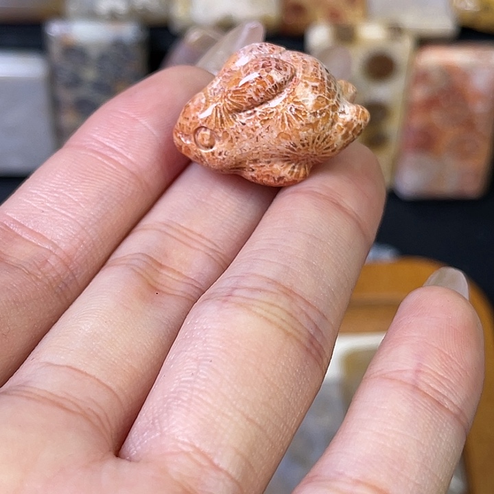 硅化珊瑚（珊瑚玉）珠宝金石合金浅*光