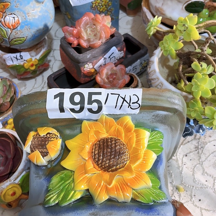 多肉花盆，满15包邮