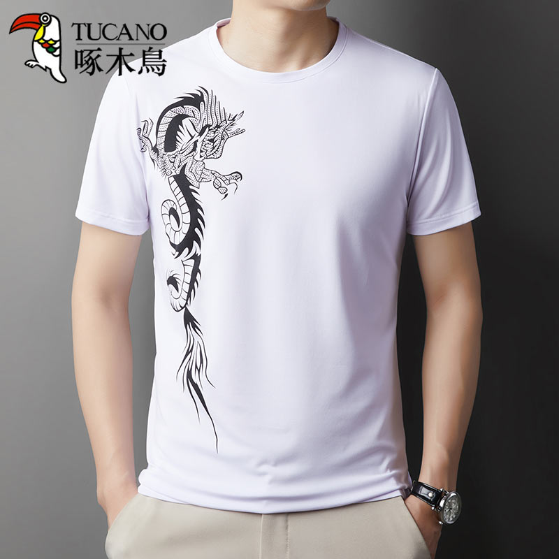 【纯色印花】啄木鸟2025春秋款男士休闲圆领套头中青年短袖T恤上衣