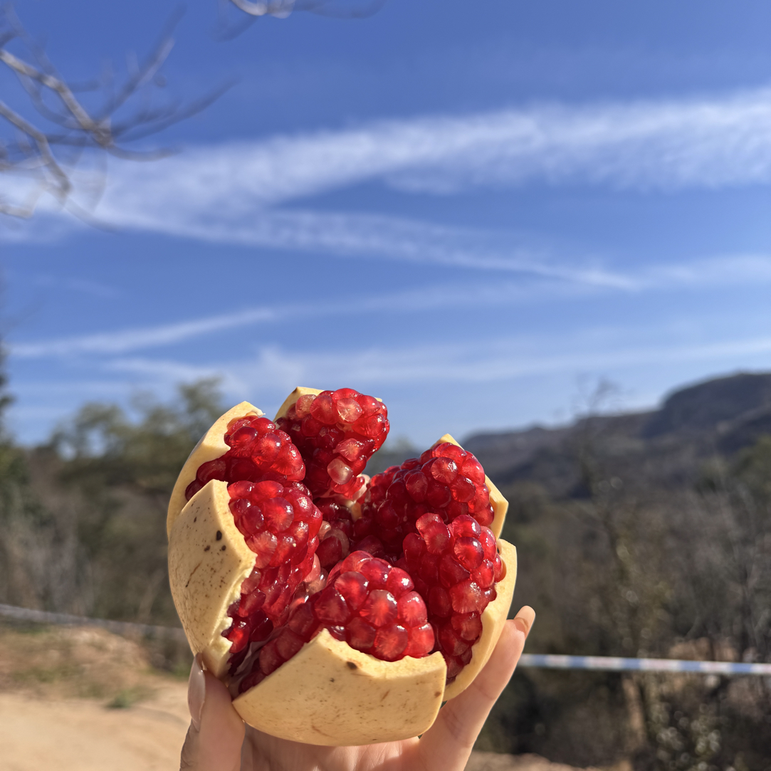 陕西临潼特产硬籽精品石榴 酸甜可口 一口爆汁