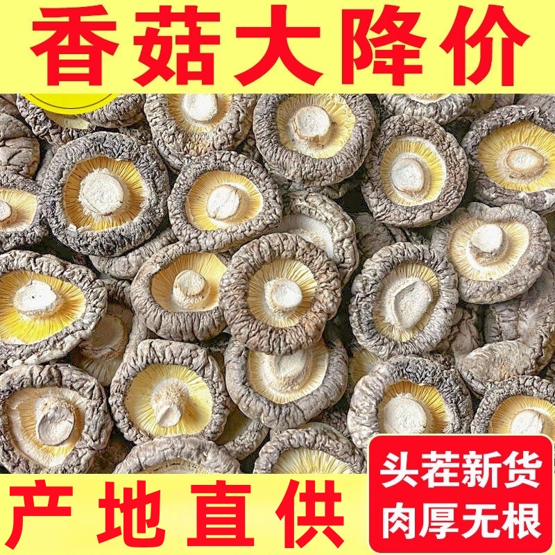 28抢【一斤香菇干货】古田农家特产香菇干肉厚无根炖煮菌汤毛重