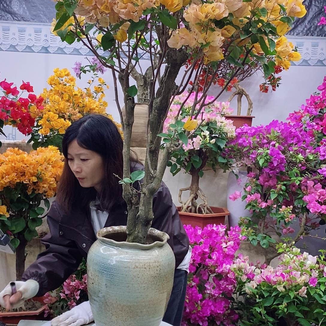 完全开放我要好好学习