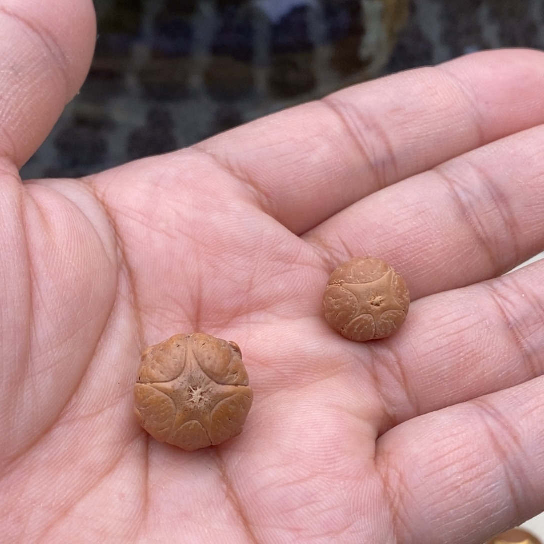 笑***人凤眼菩提吊坠五星