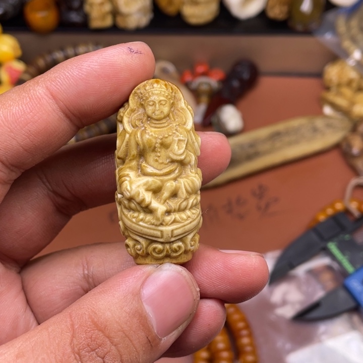 驼骨其他人工养殖