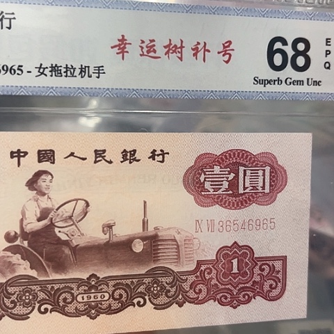 幸运树补号，36544965幸运树