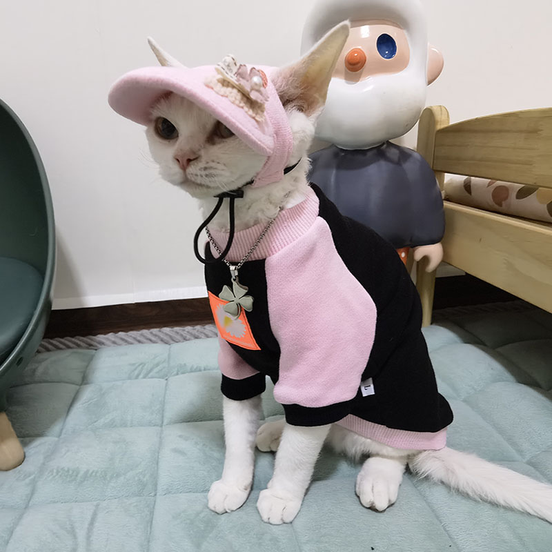 无毛猫德文衣服舒适休闲拼色插肩春秋时尚卫衣保暖透气德文猫帽子