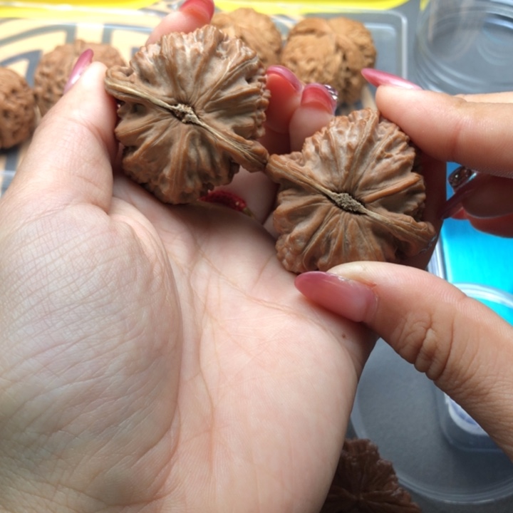 1***。文玩核桃把件42白狮子全品