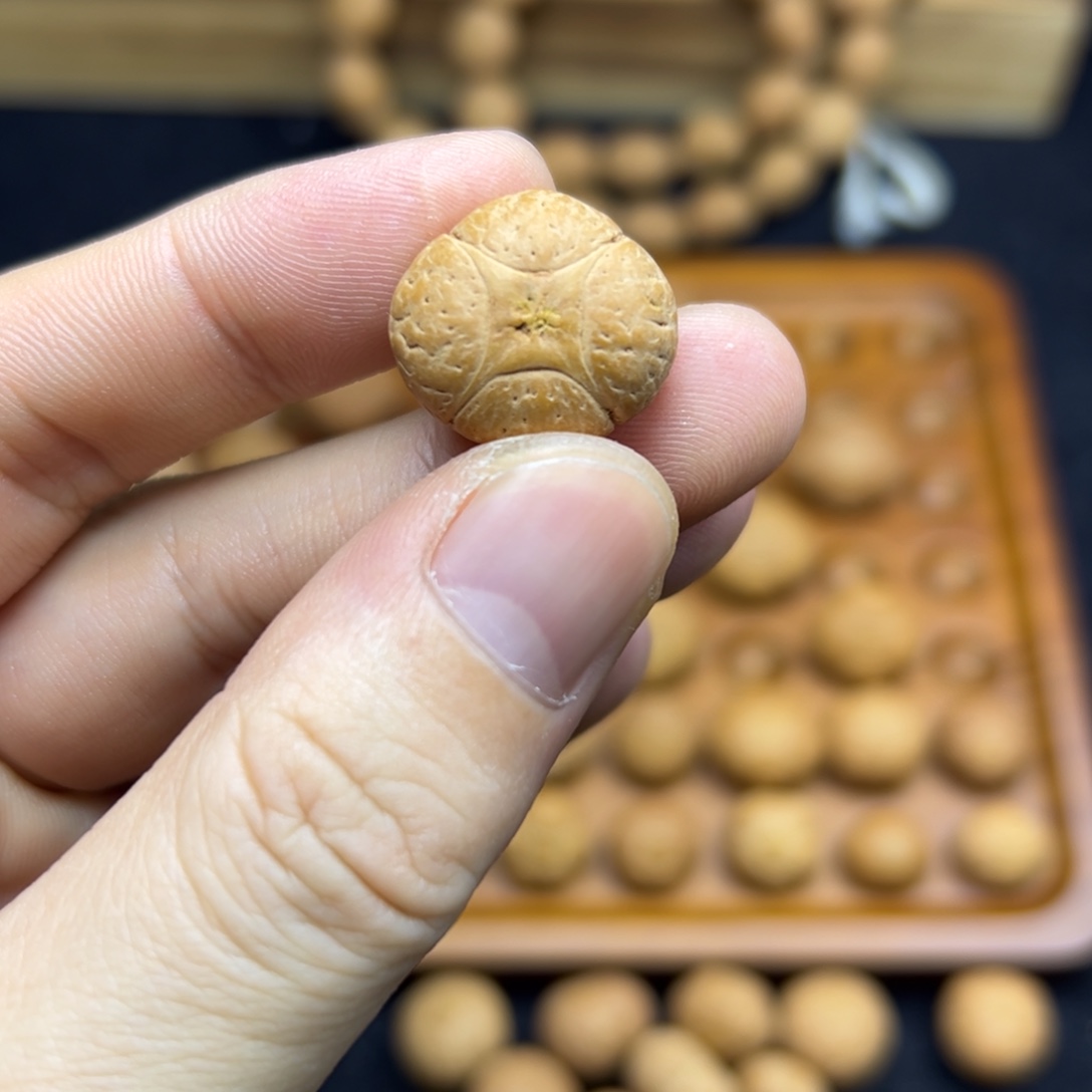 手串凤眼菩提19.8麒麟眼