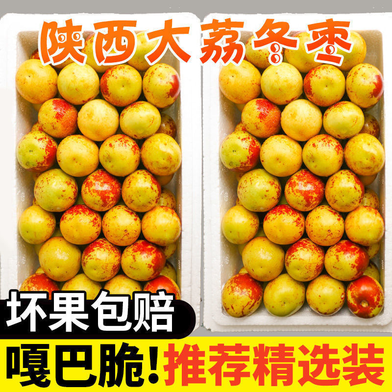 8-8日XG【顺丰次日达】正宗陕西大荔冬枣新鲜应季时令水果鲜枣皮薄肉脆坏果包赔【小郭】陕西省