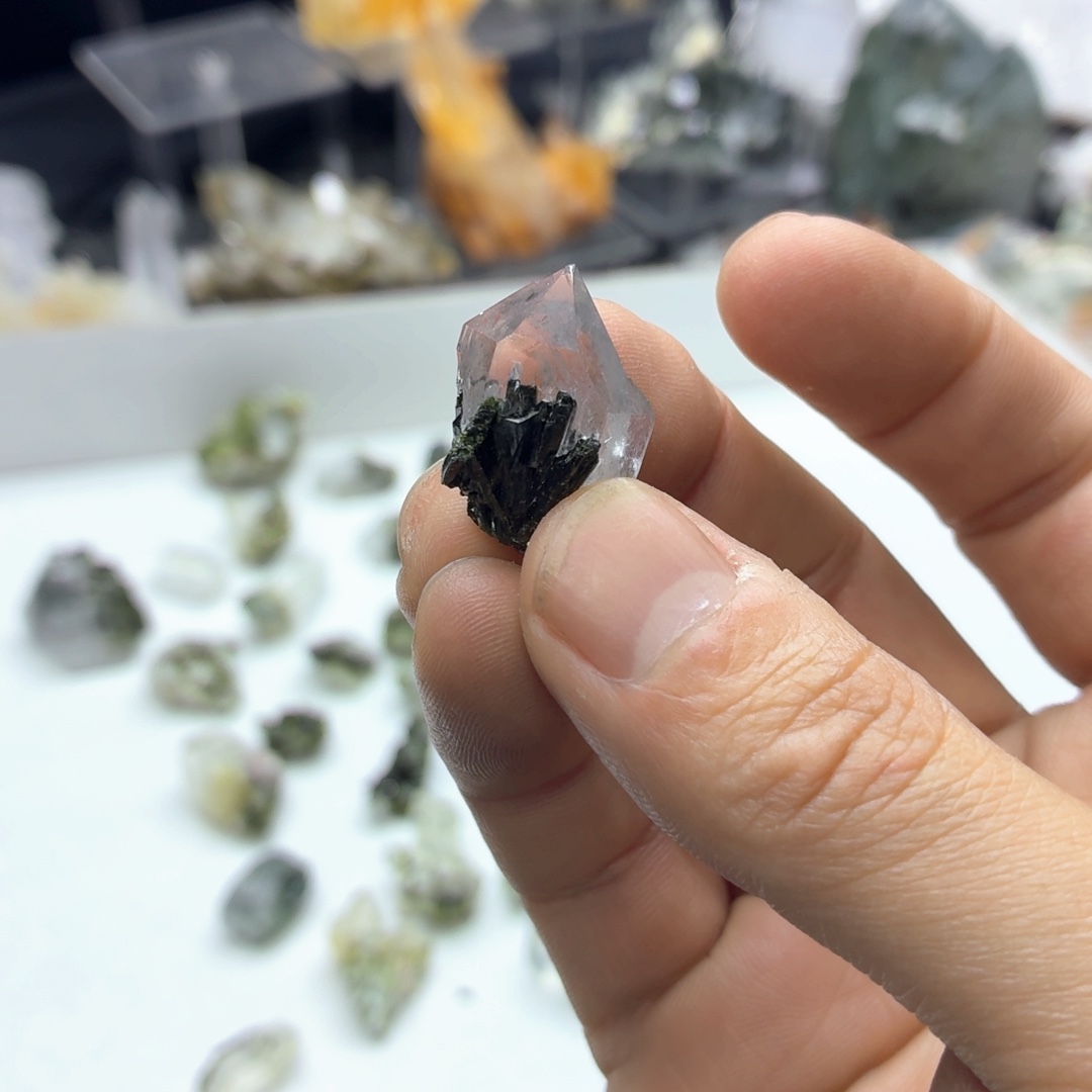 石材超美绿幽鼻嘎