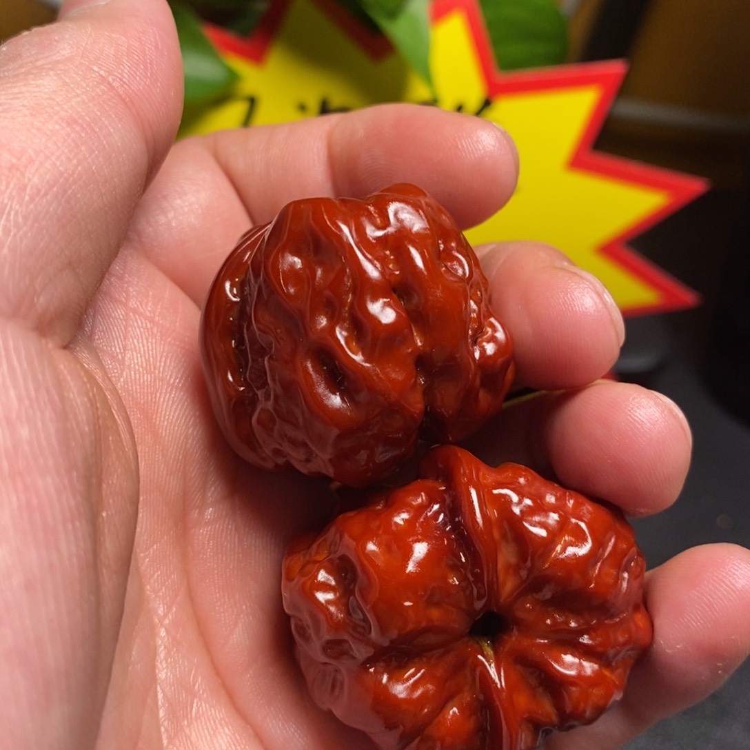 文玩核桃吊坠用****834蛤蟆头