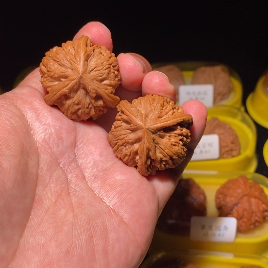 神****”38御龙粗筋正球奔精品对