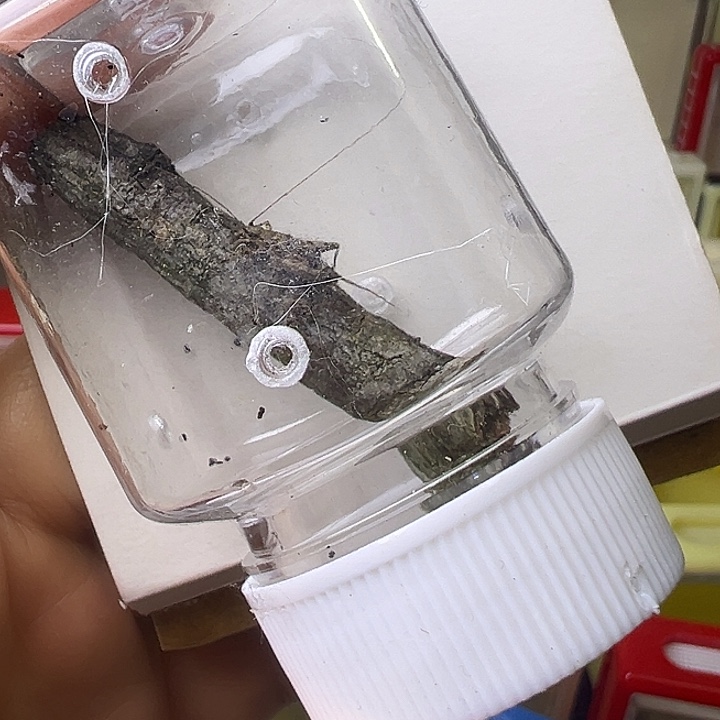 沐***1哈哈哈哈哈哈哈哈哈哈哈