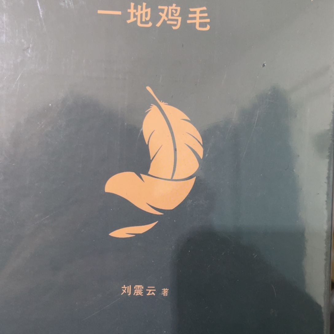 一地鸡毛精装一个