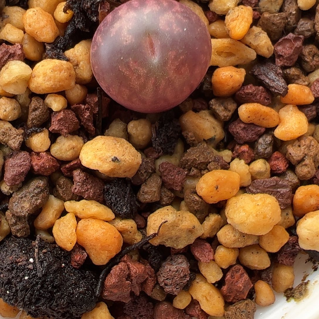 一物一拍脱土发。  921