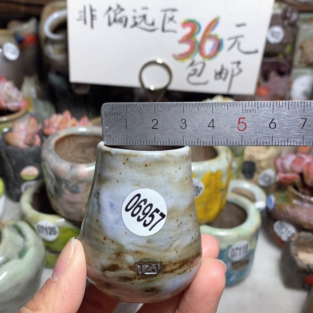 花盆拍5送一个小礼物