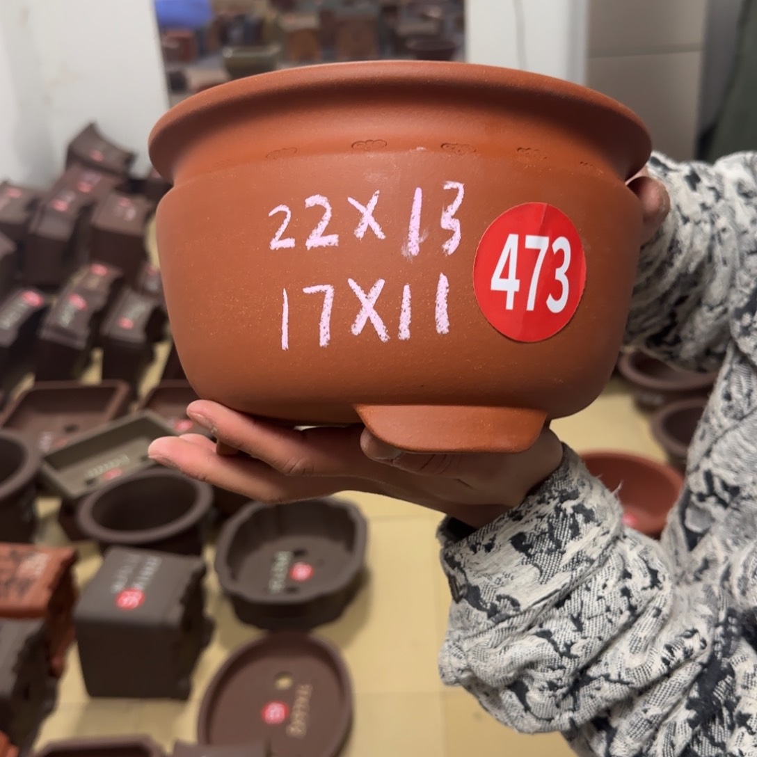 紫砂花盆呜呜呜呜