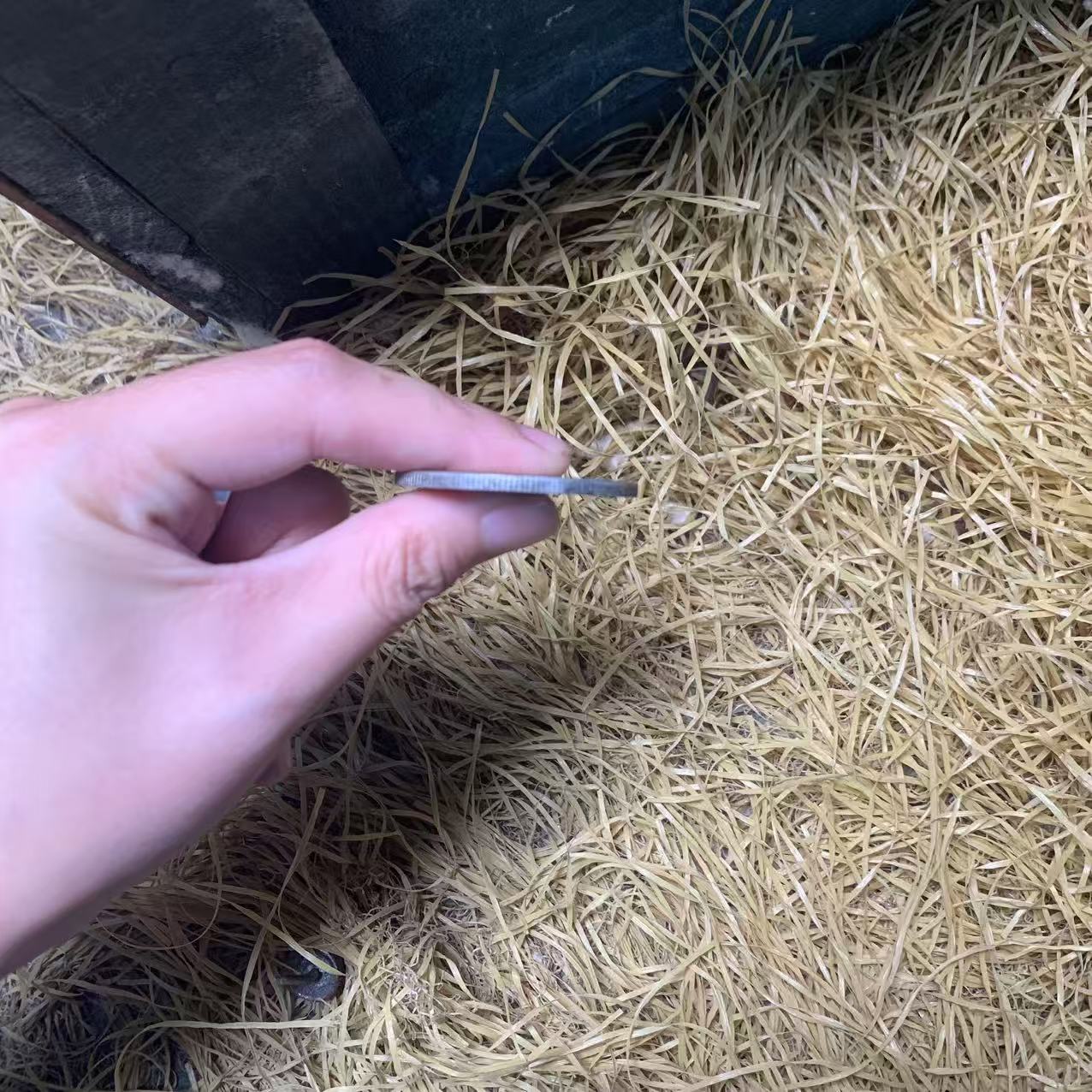 现代工艺品摆件 81【一对】精美摆件 现代复古摆件