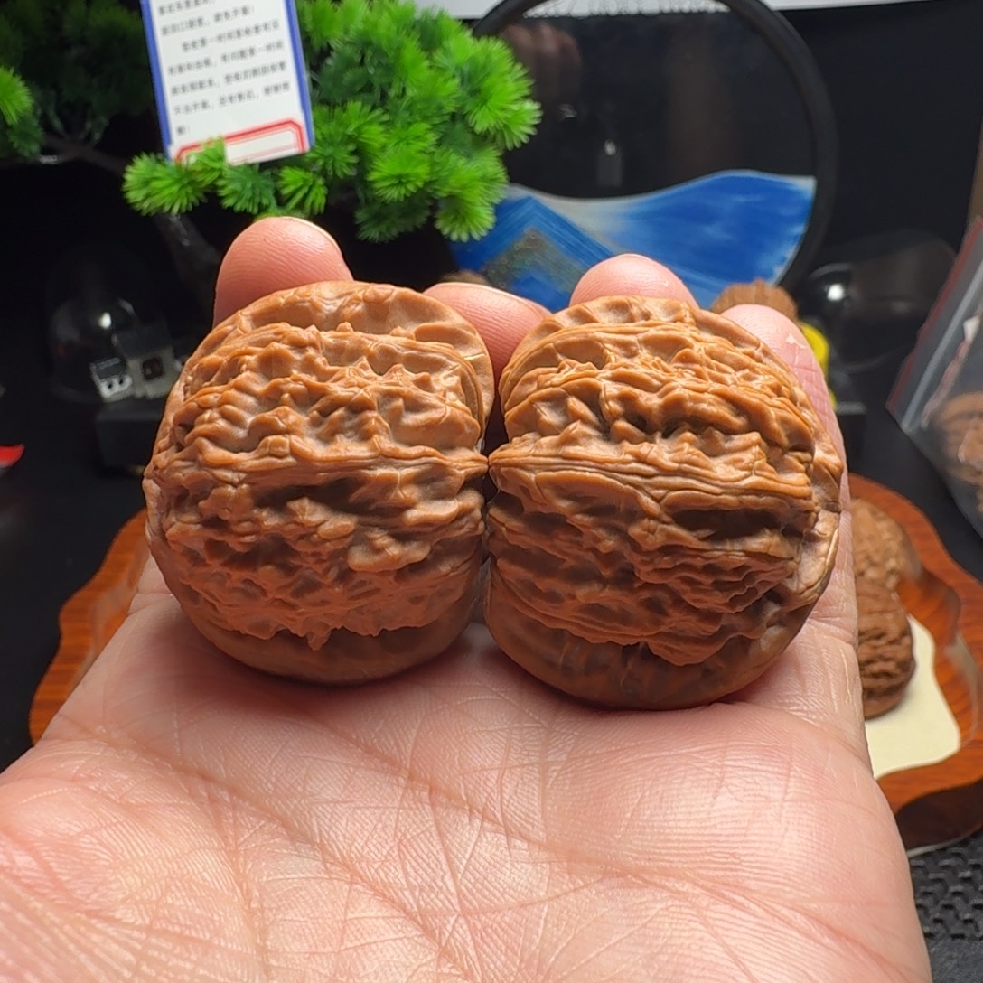 把件文玩核桃全品白狮子41