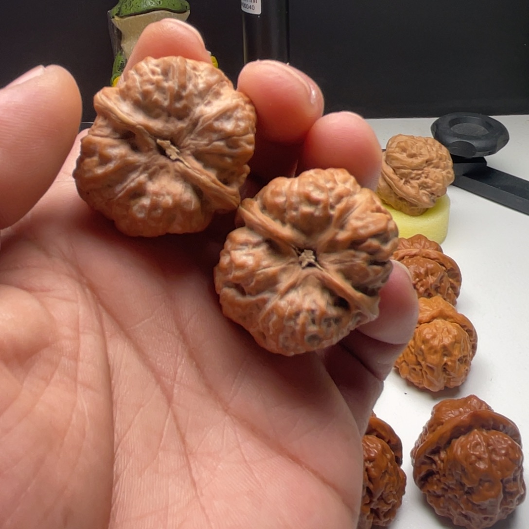 花***颜核桃蛤蟆头核桃 35