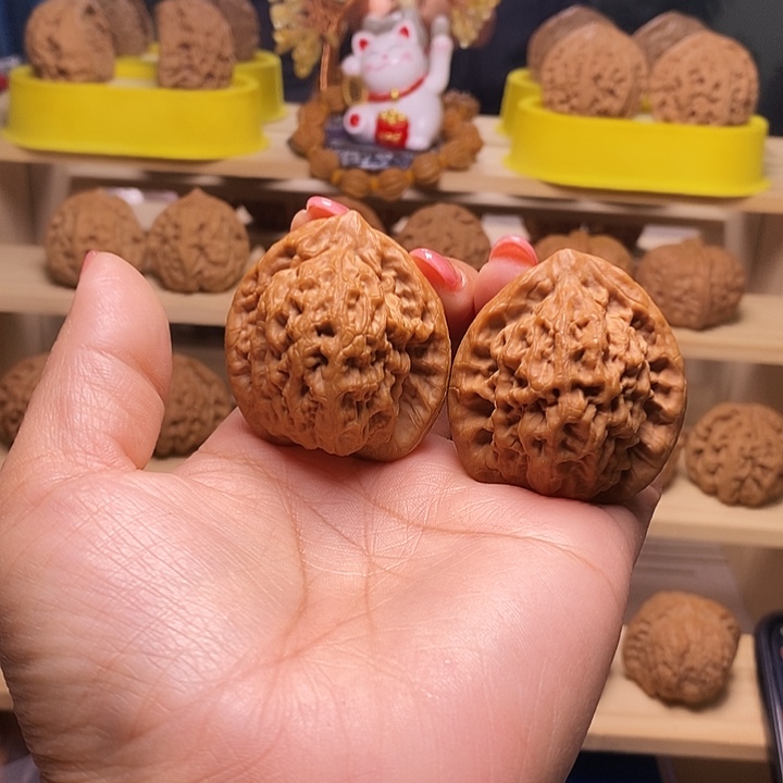 41尺寸的金公子核桃