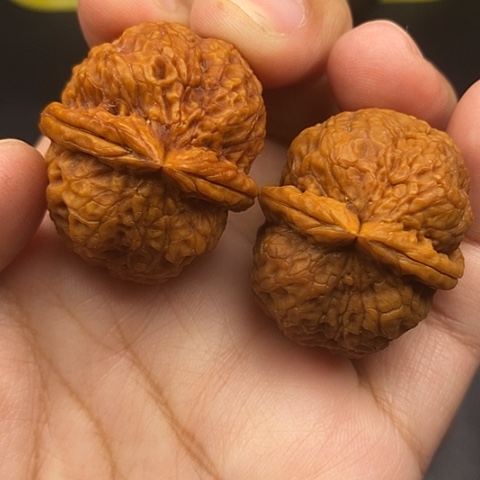 文玩核桃把件35尺油阴