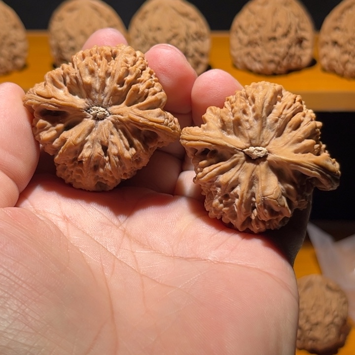 提***冲44尺寸南将石50克
