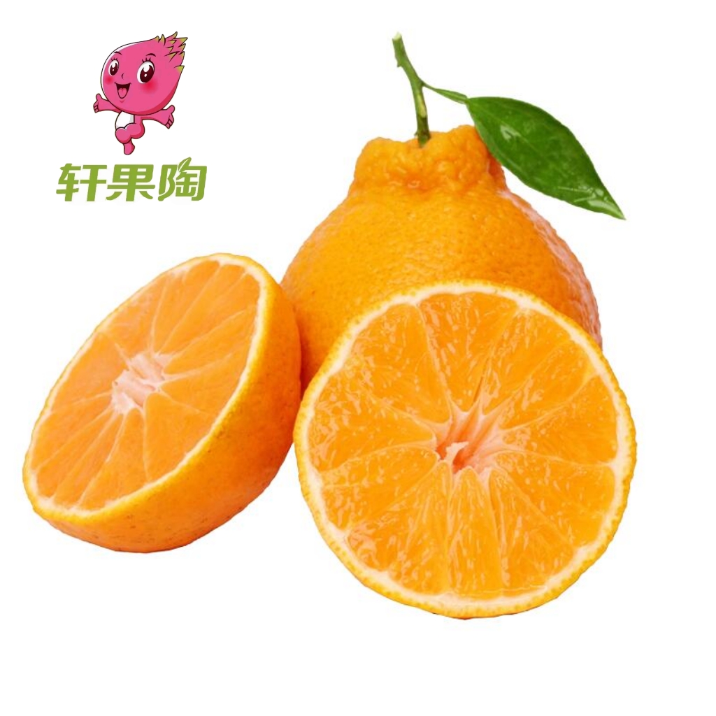 【鲜果促销量/单果装】四川耙耙柑 300g±50g