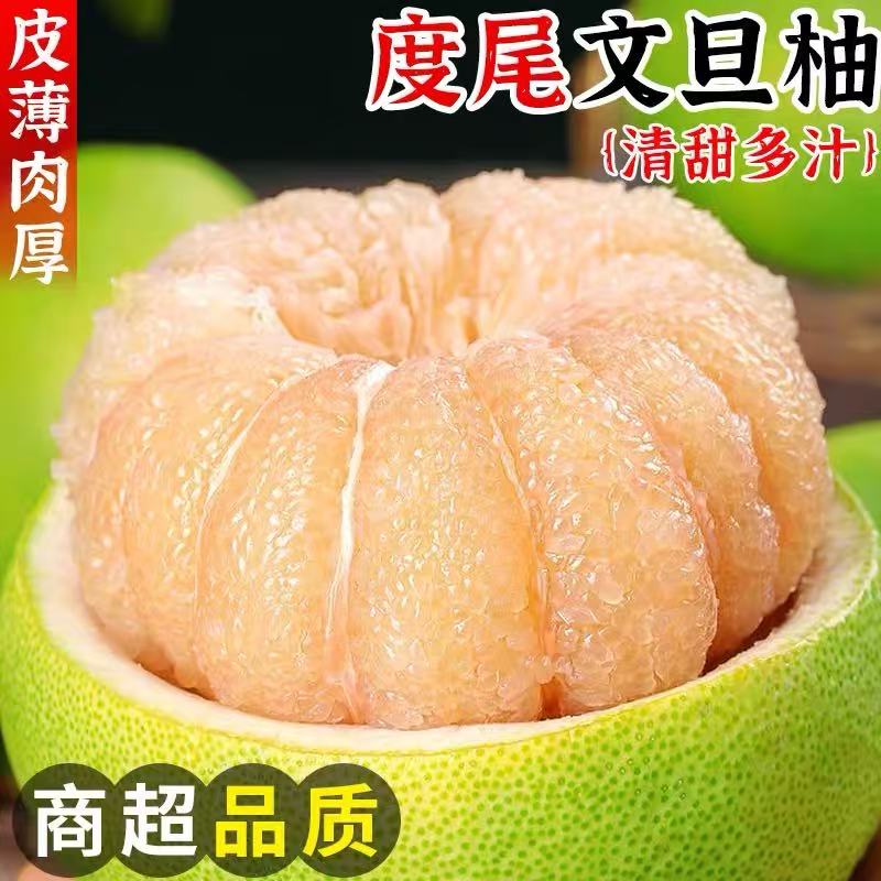 福建仙游度尾文旦柚清甜多汁当季新鲜水果批发现摘现发无孔蜜柚子
