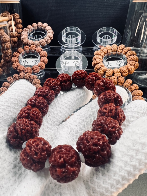 尼泊尔—经典梅花双龙18尺