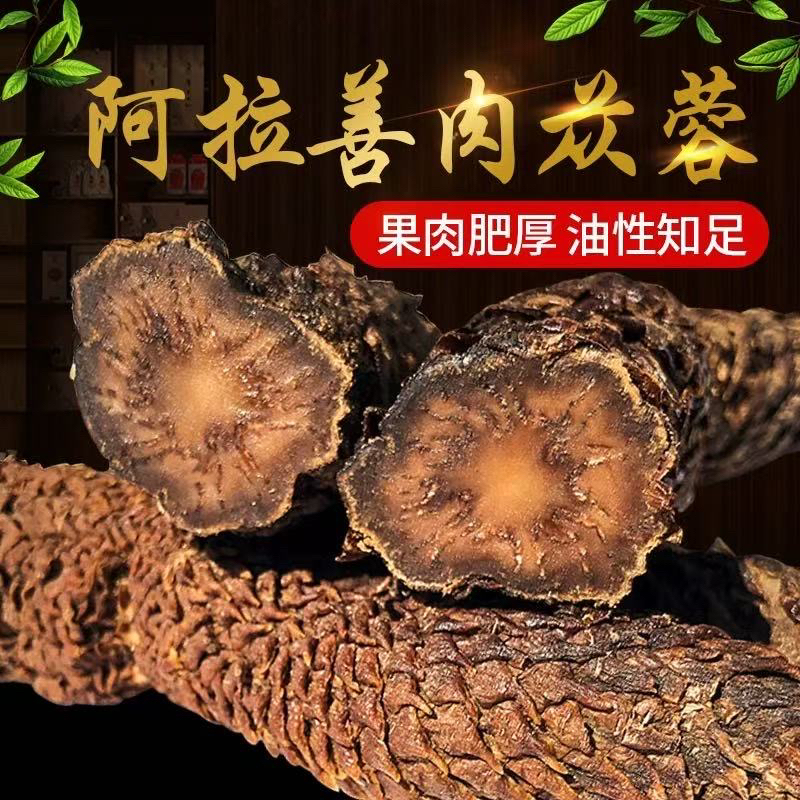 肉苁蓉正品保证内蒙古阿拉善油性苁蓉可搭配淫羊藿黄精泡水泡酒