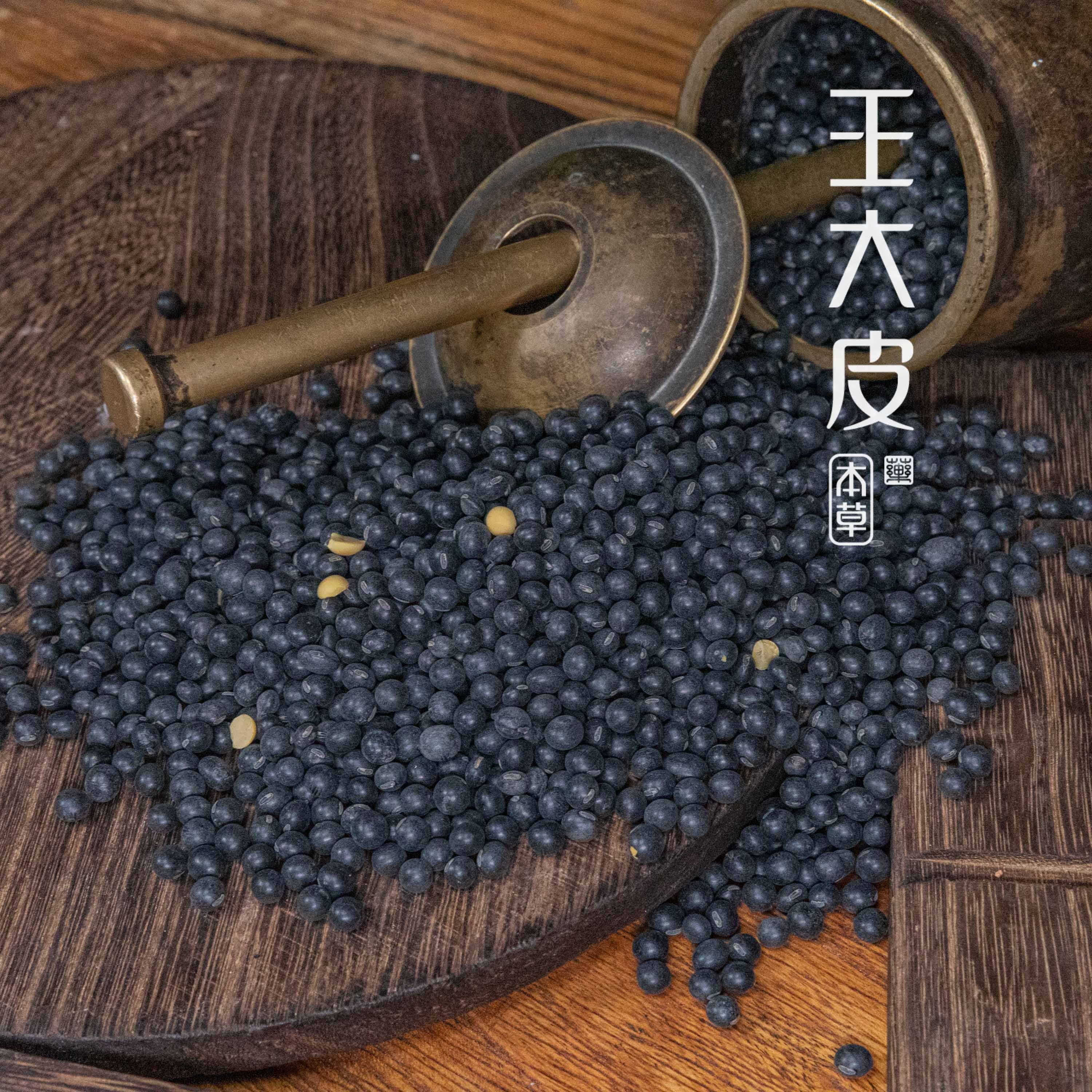 生黑豆 黑豆黑皮道地高品质经方经典优质正宗原产地直邮新鲜