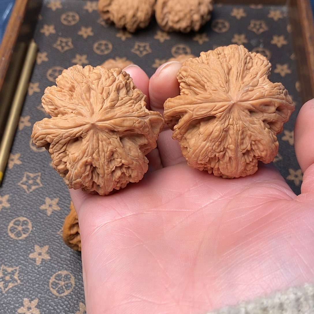 橄榄核手串/手链╄****╃大粗筋47尺寸