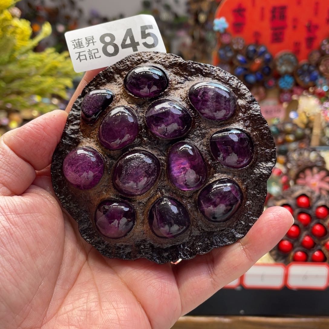 核桃木/黑胡桃（胡桃木）845