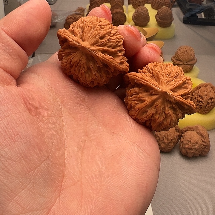 大叶紫檀（黑酸枝木类）盘龙纹