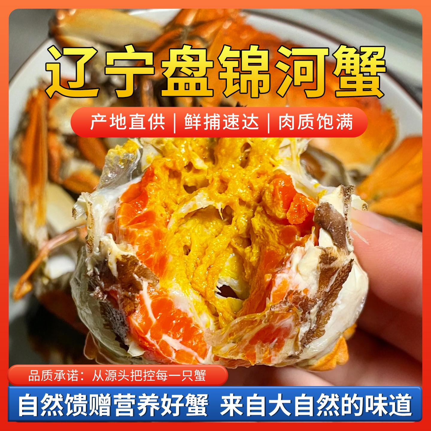 [活蟹]盘锦河蟹[母蟹]1.7-1.4两(2斤/3斤)12-21只礼盒包装