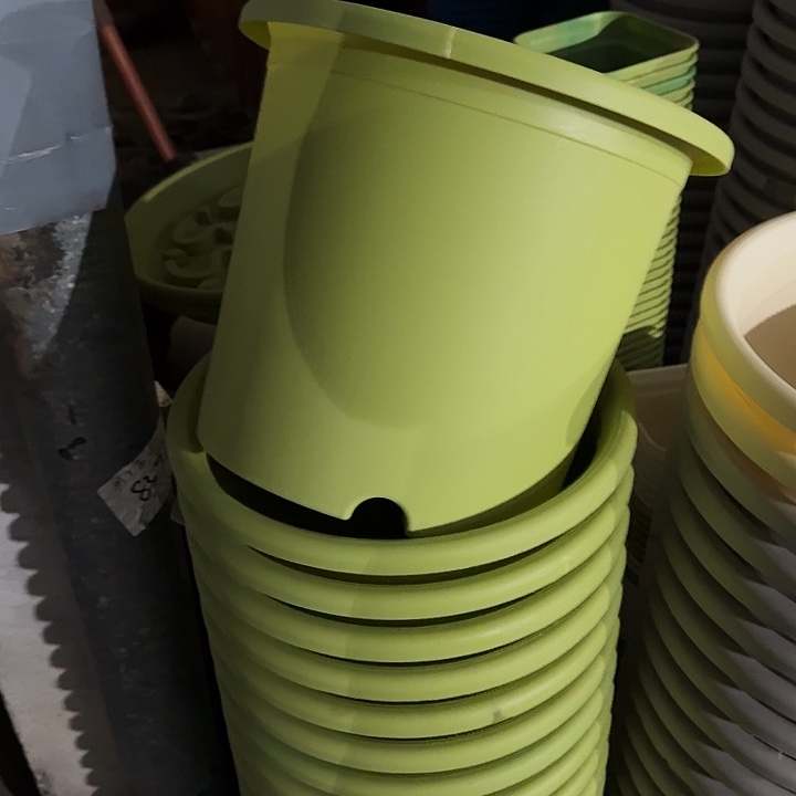 瑕疵6#口径32果绿10个无托门口