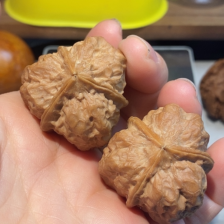 只***张把件文玩核桃6677777¥¥