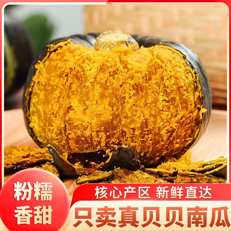 [坏果包赔 CW5]沙地贝贝新鲜采摘贝贝南瓜粉糯香甜板栗味宝宝辅食