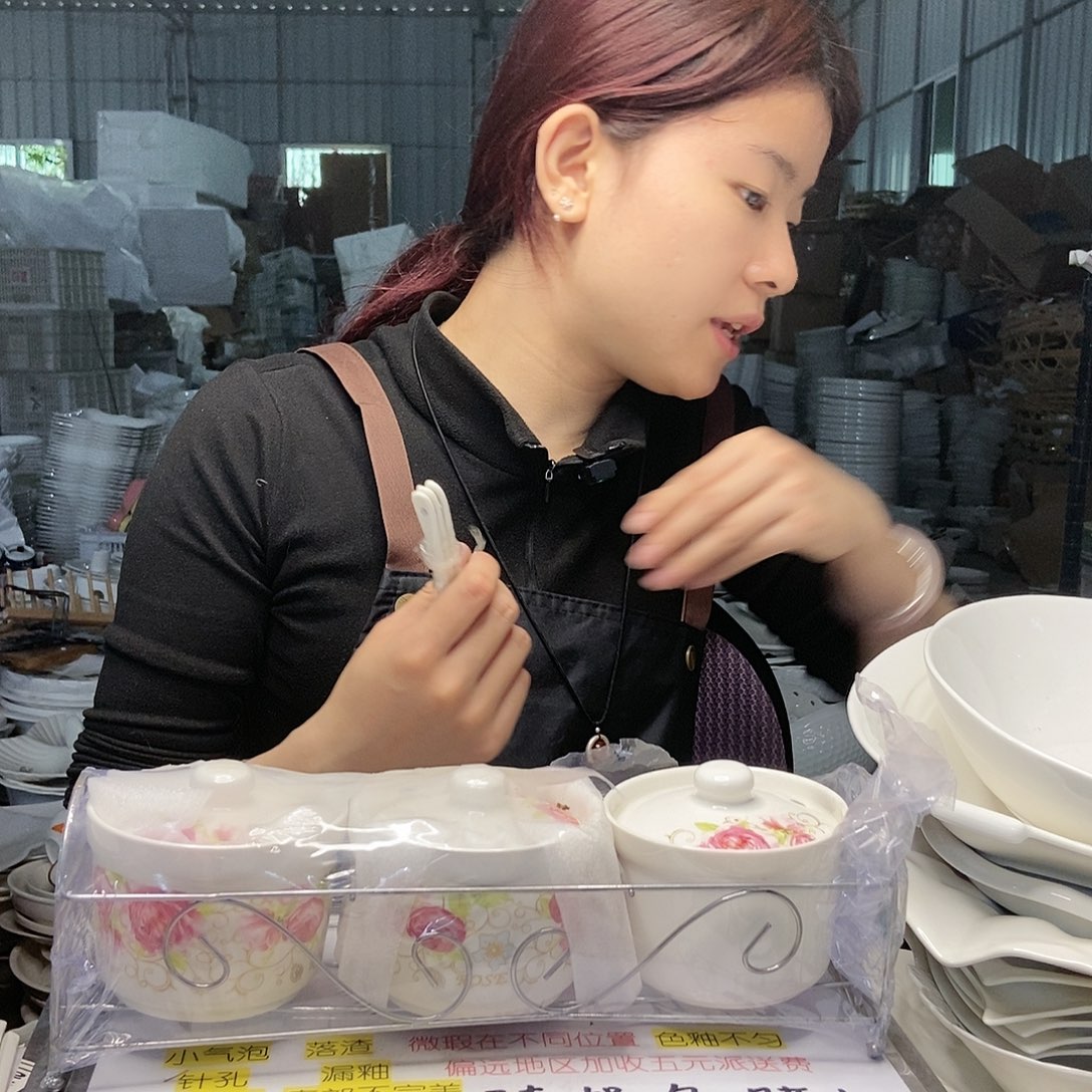 【闪购商品】碟工厂微瑕介意勿拍…………609