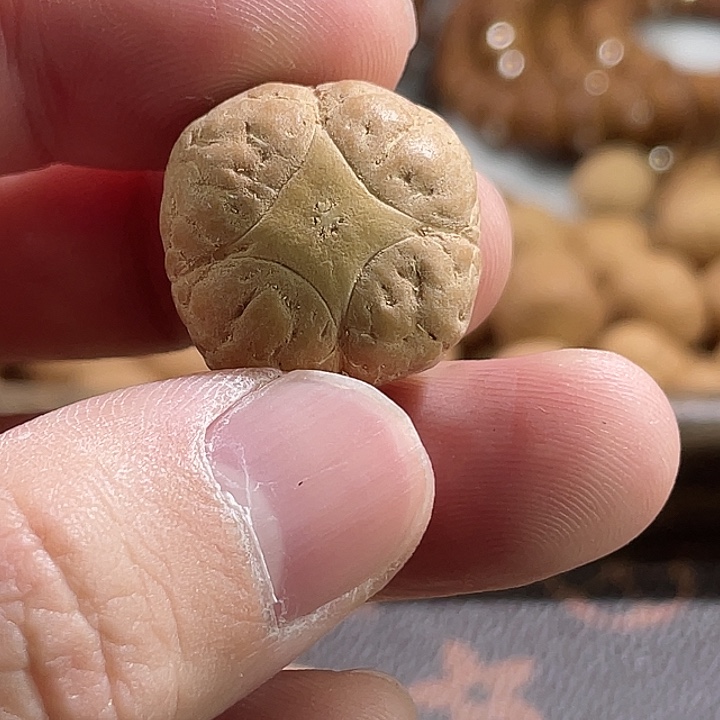 凤眼菩提吊坠尼泊尔小凤眼