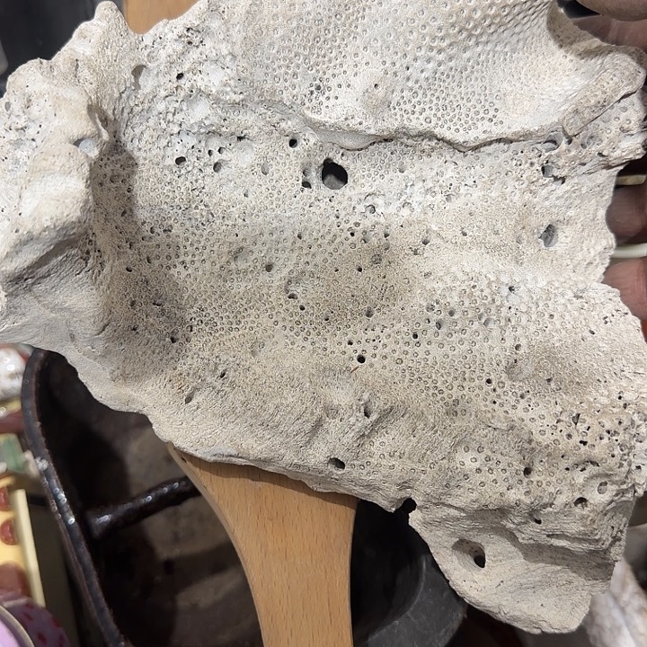 信***变我也不知道我为什么