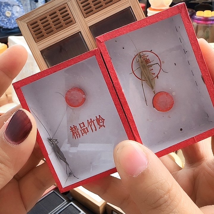 缘双联➕柬➕紫啊啊啊啊啊啊