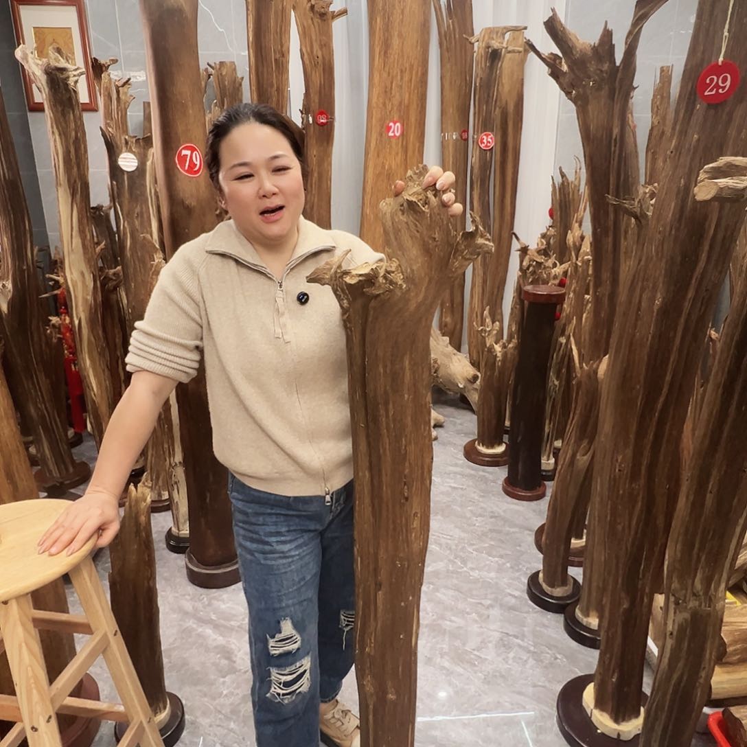 沉香碎屑沉香猫*沉香原料