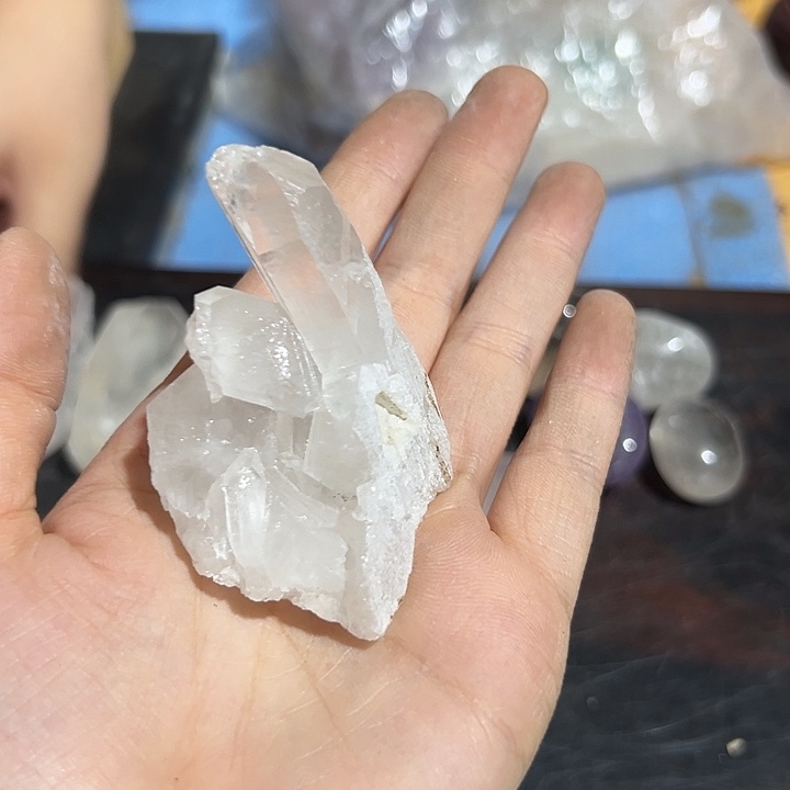 小甜甜与你们同在