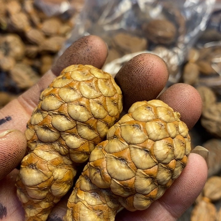 索***务文玩核桃吊坠东北特产143